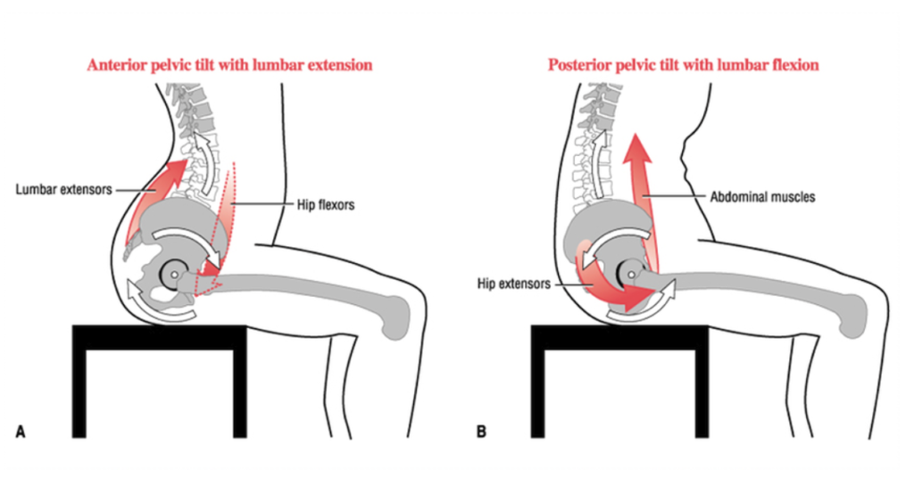 The real reason why you have lower back pain